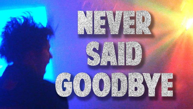 Never Said Goodbye (2022)